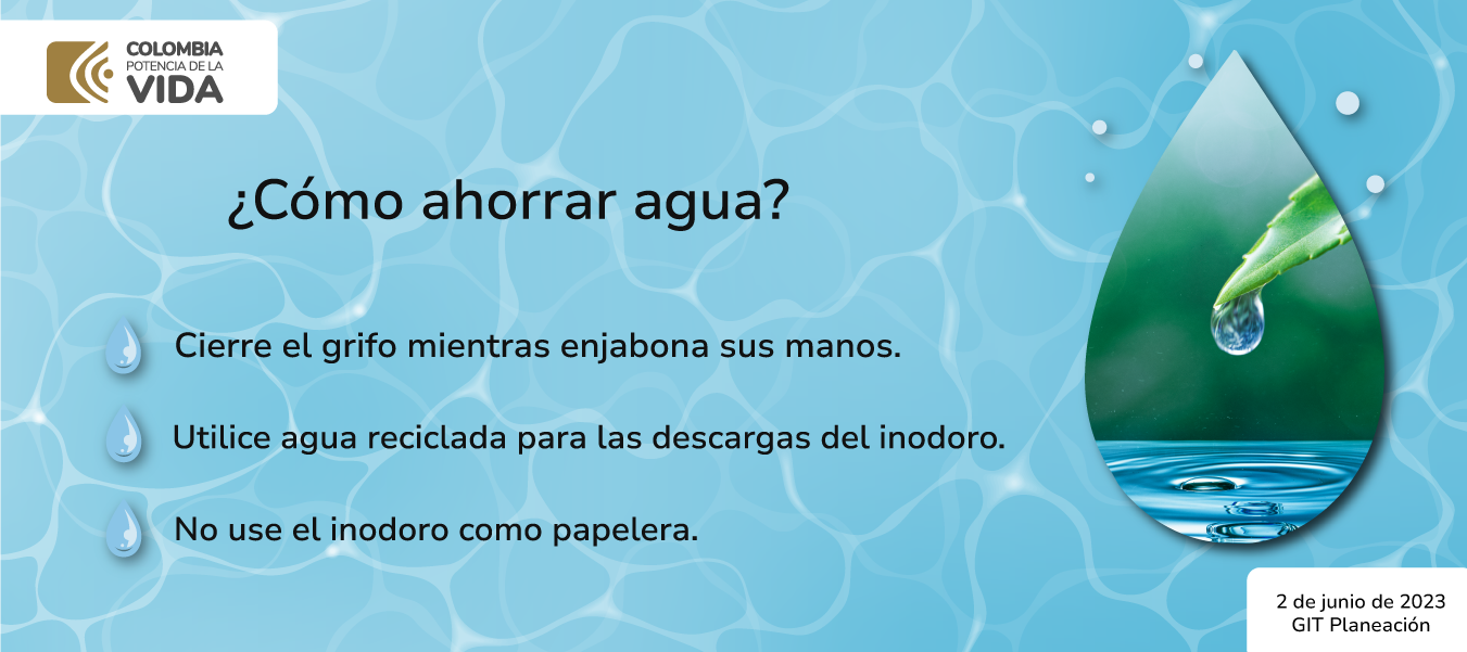 ¿Cómo ahorrar agua?