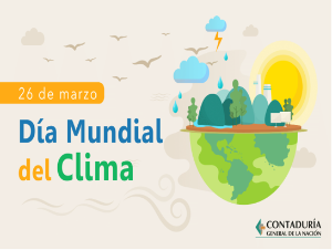 Vista en miniatura