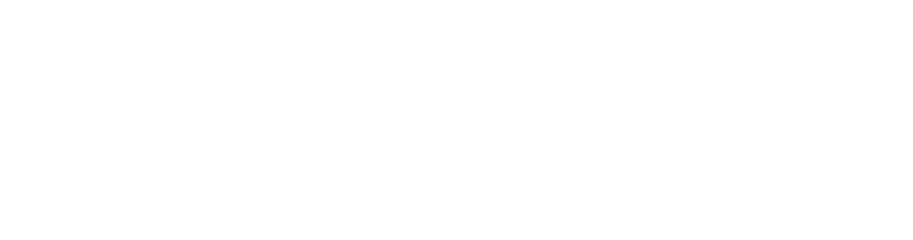 GOBIERNO DEL CAMBIO EN BLANCO