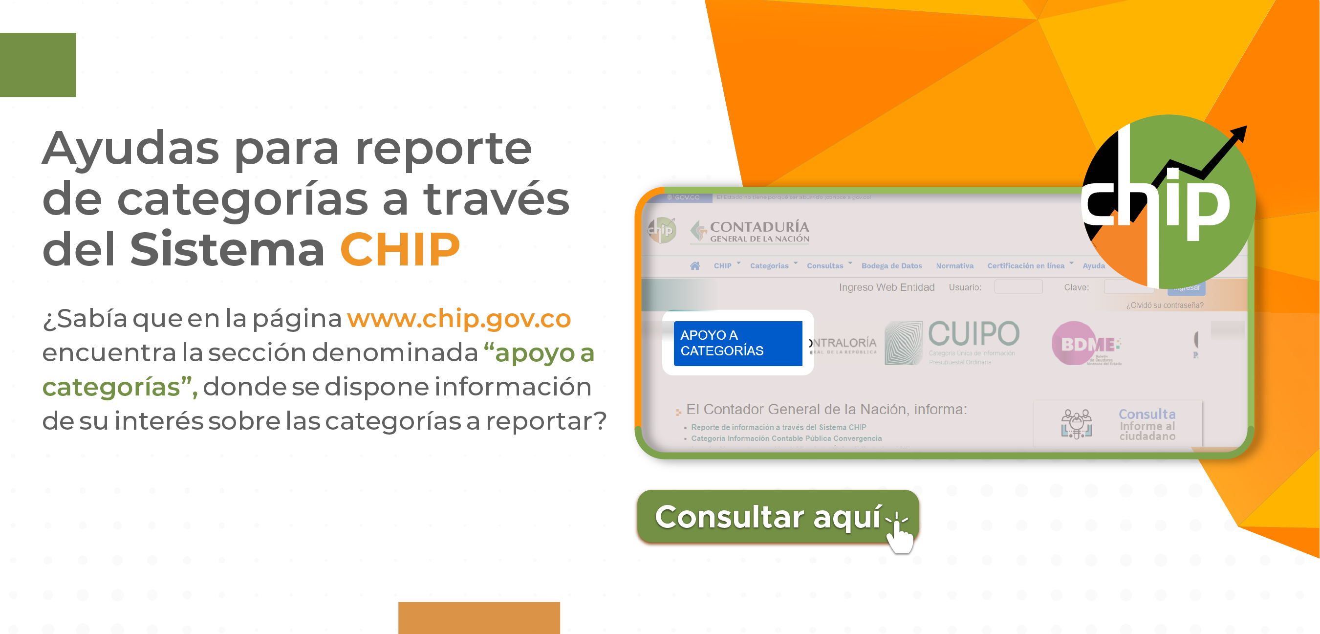 Apoyo a categorías CHIP