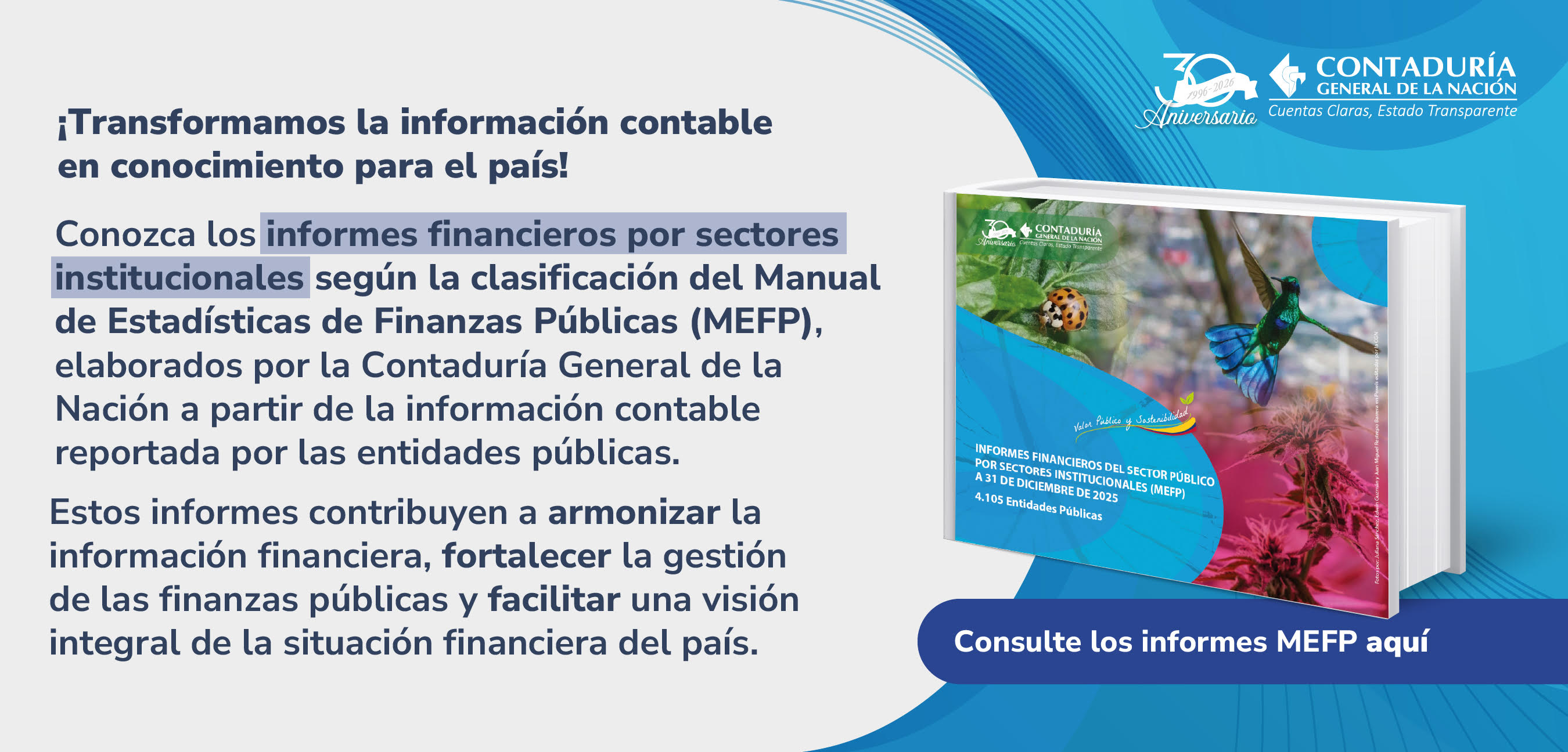 Conozca los informes financieros por sectores institucionales según la clasificación del MEFP a 31 de diciembre de 2025