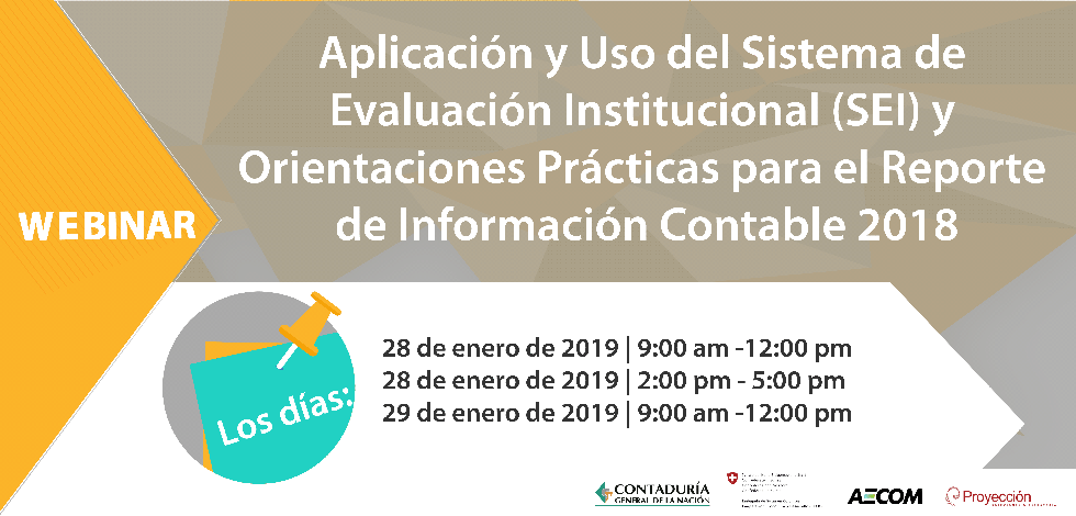 Imagen Webinar SEI